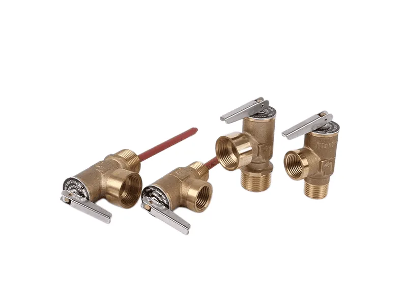 Gas Control Valve Replacement in Brandon FL
