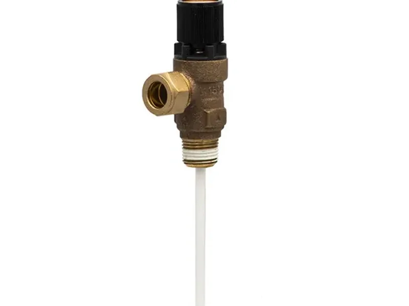 TPR Valve Replacement in Mango FL